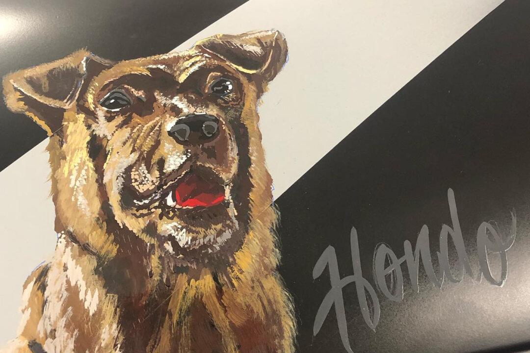 Police Dog Shot and Killed in the Line of Duty Gets Special K9 Casket Designed in His Honor