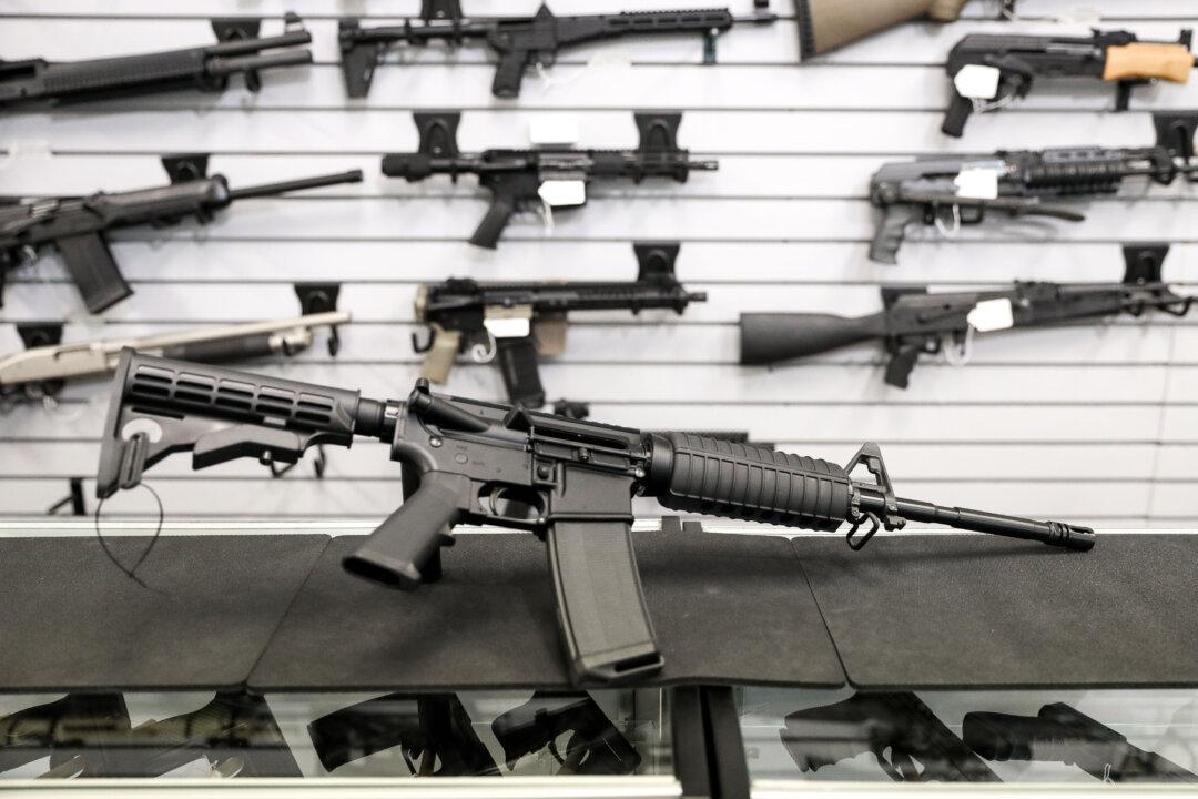 Virginia Senate Committee Rejects ‘Assault Weapons’ Ban