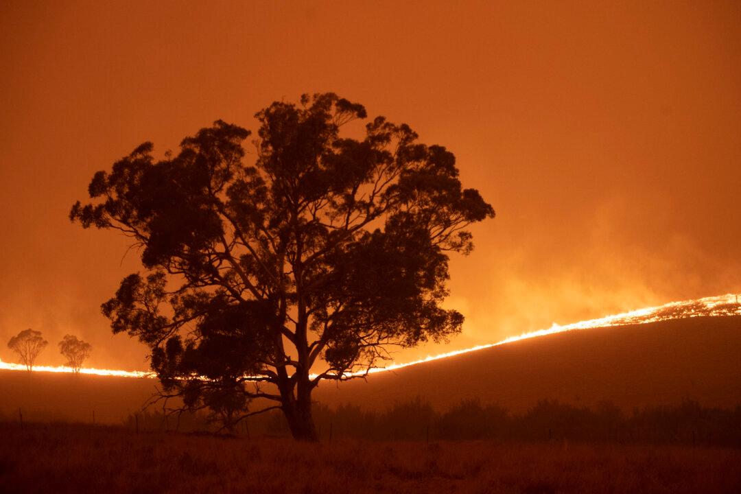 Australia Launches National Inquiry Into Devastating Bushfires