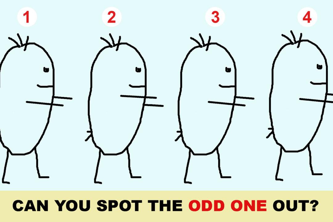Look Closely at These 4 Picture Puzzles and See If You Can Find the Odd One Out