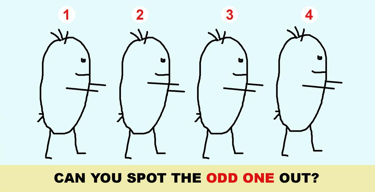 Look Closely at These 4 Picture Puzzles and See If You Can Find the Odd One Out
