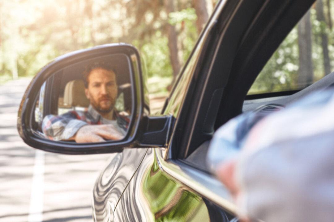 Driver Spots an ‘Injured Leopard’ on the Road, but It Turns Out to Be Just a Coat