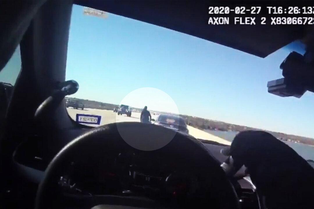 Bodycam Video Shows Police Officer Saving Suicidal Woman About to Jump Off Bridge