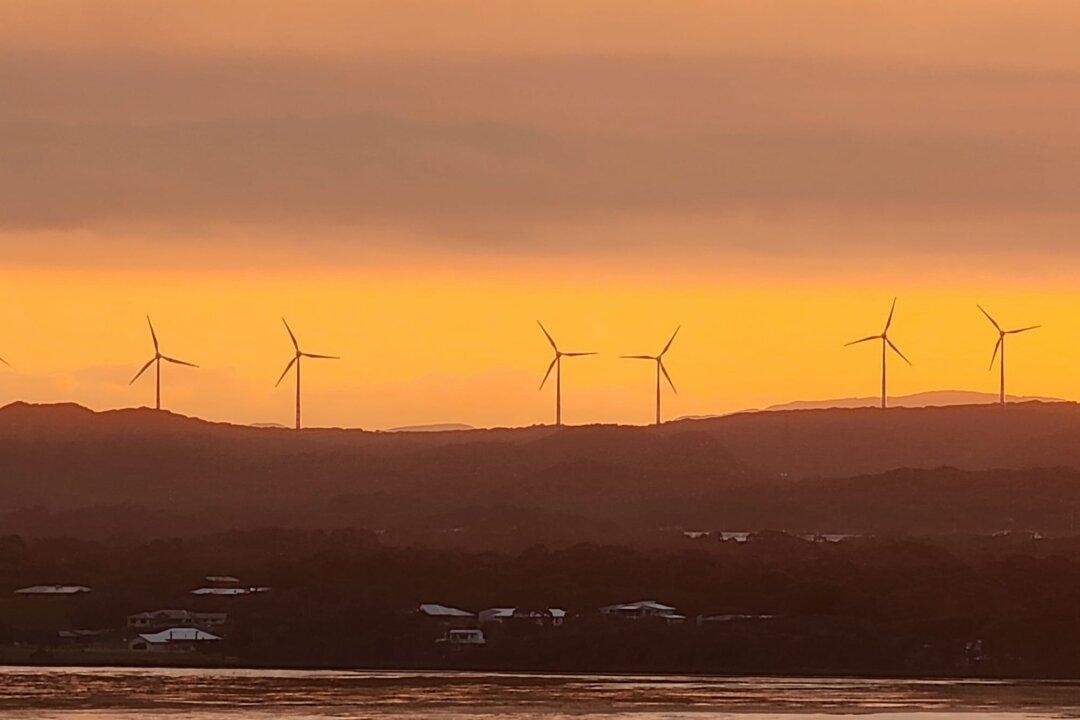 Australia Should Create More Renewable Energy Projects to Boost Power Security: Climate Council