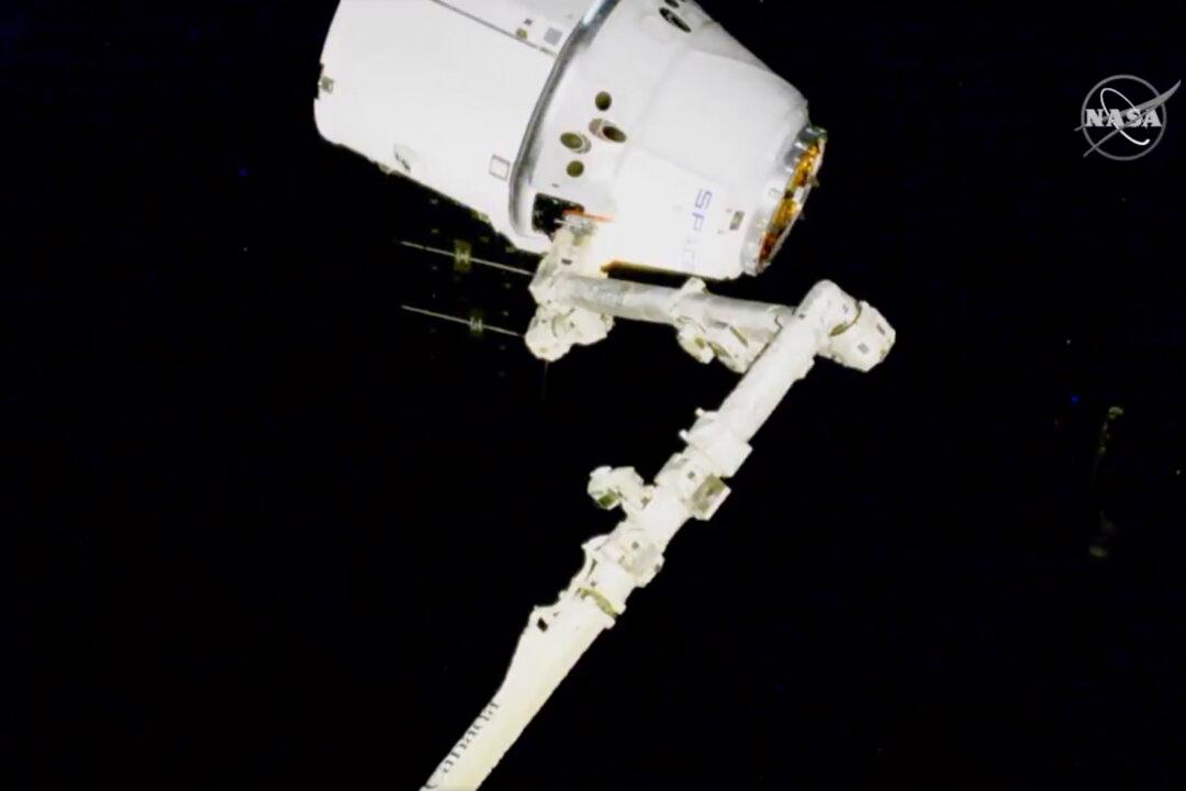 SpaceX’s 20th Station Shipment Arrives With Candy, Science