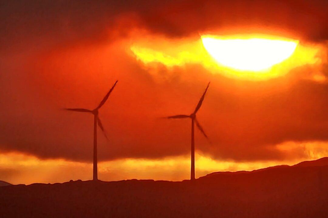 Lucy Turnbull, Grace Tame Sign Joint Letter for Climate ‘Duty of Care’