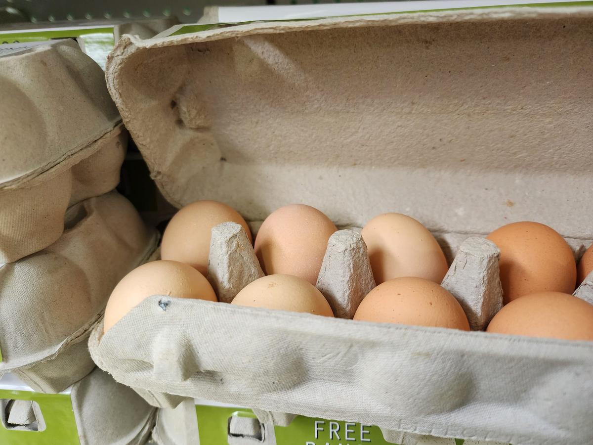 Bird Flu Attracts $6.9 Million for Surveillance and Potential Vaccines