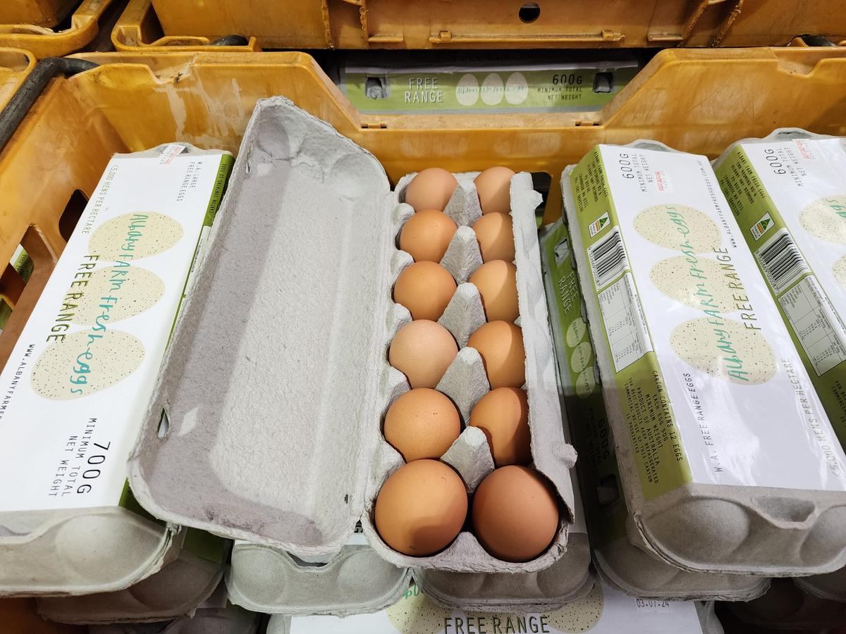 One Million Egg-Laying Hens to Be Euthanised in Bid to Control Bird Flu