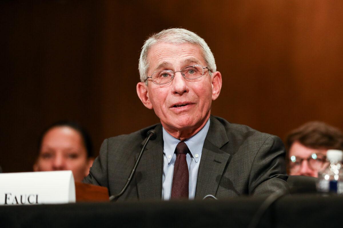 National Institute of Allergy and Infectious Diseases Director Anthony Fauci testifies at a Senate hearing regarding the coronavirus in Washington on March 3, 2020. (Charlotte Cuthbertson/The Epoch Times)