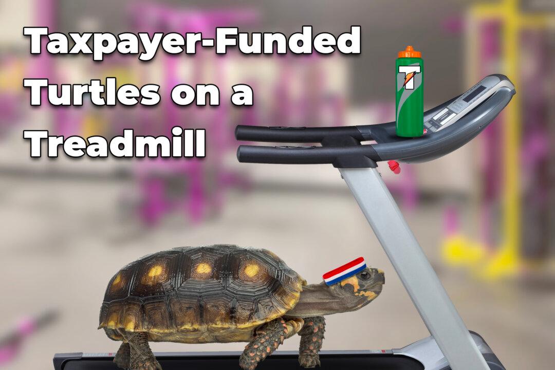 Ernst Blasts Feds’ Wasteful ‘Turtles on a Treadmill’ Study as Senate Panel OKs Her Anti-SWAG Bill 5:3
