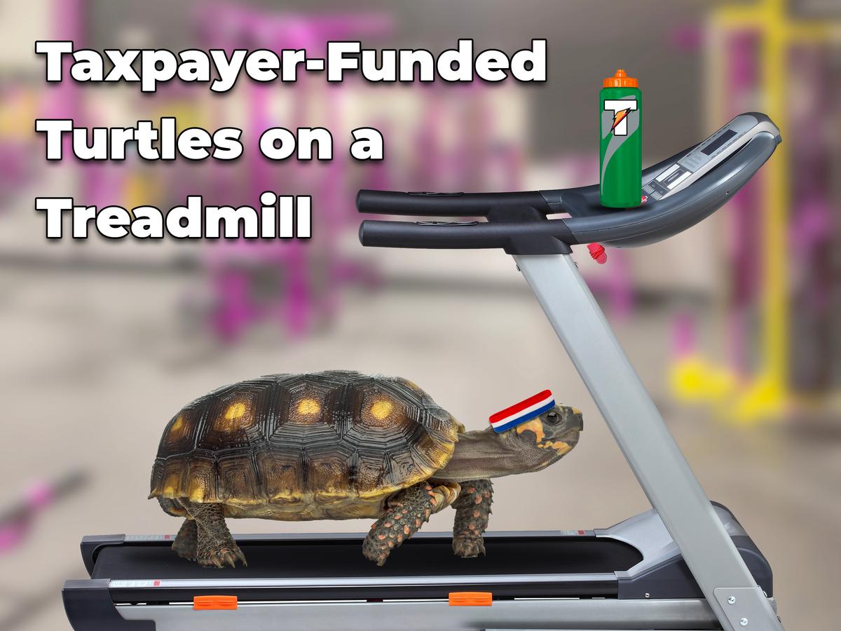 Ernst Blasts Feds’ Wasteful ‘Turtles on a Treadmill’ Study as Senate Panel OKs Her Anti-SWAG Bill 5:3