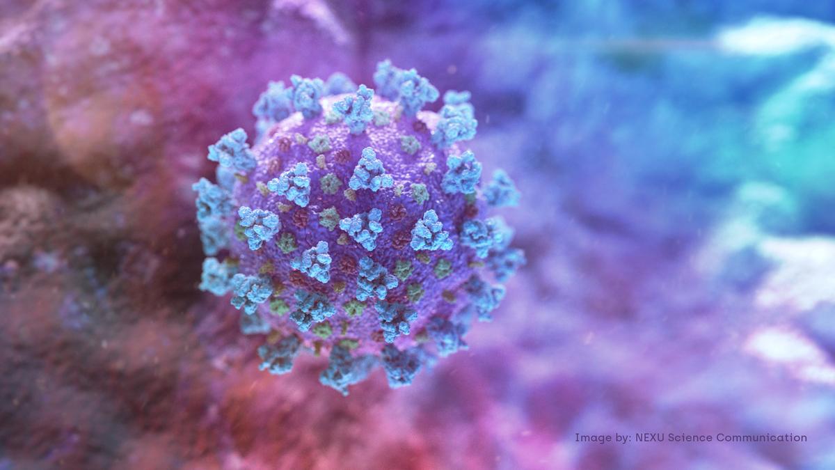 Coronavirus Can Survive in Air for 3 Hours, on Surfaces for up to 3 Days: Study