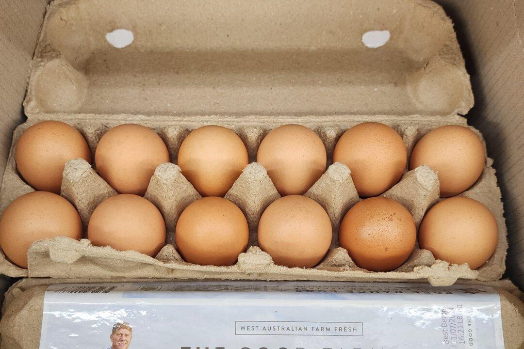 Bird Flu ‘Not a Food Safety Concern’: Food Safety Regulator