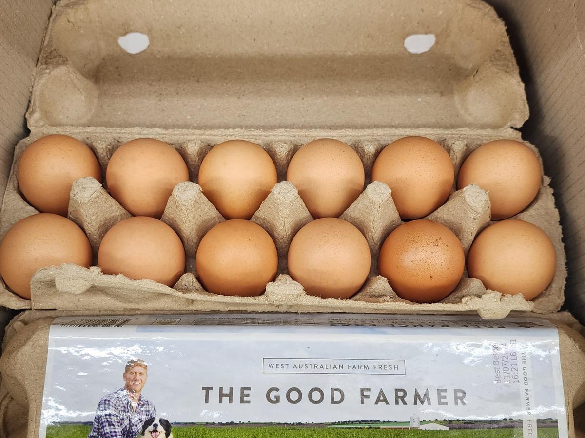 Bird Flu ‘Not a Food Safety Concern’: Food Safety Regulator