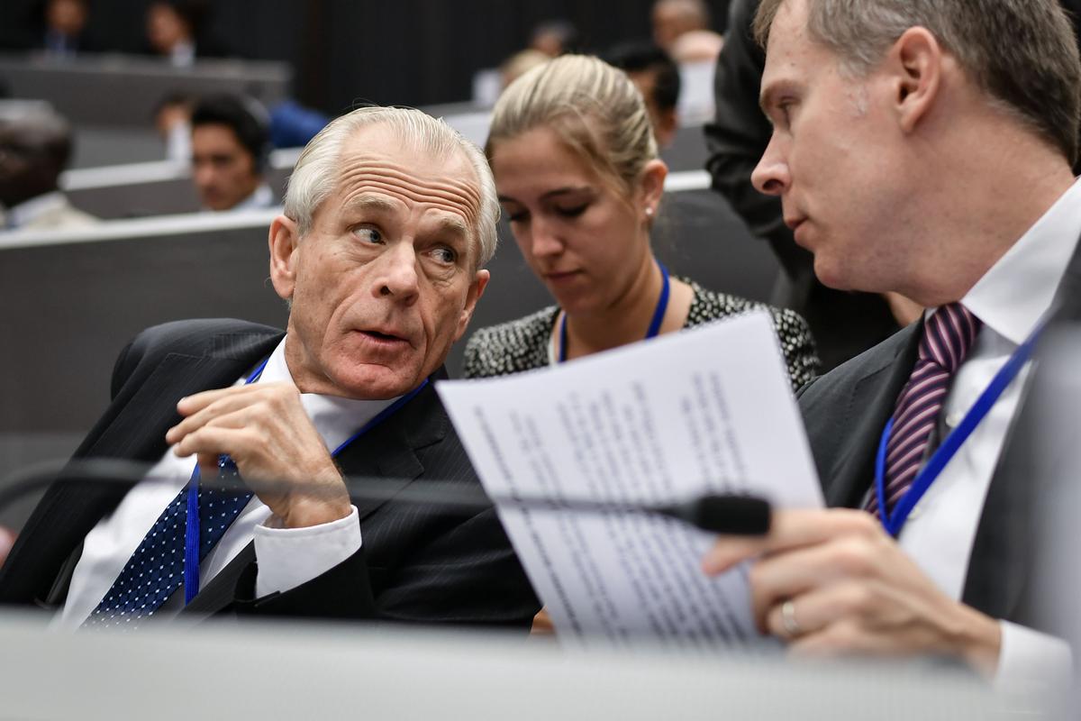 White House Adviser Working on Directive to Reduce US Foreign Dependency on Medicines