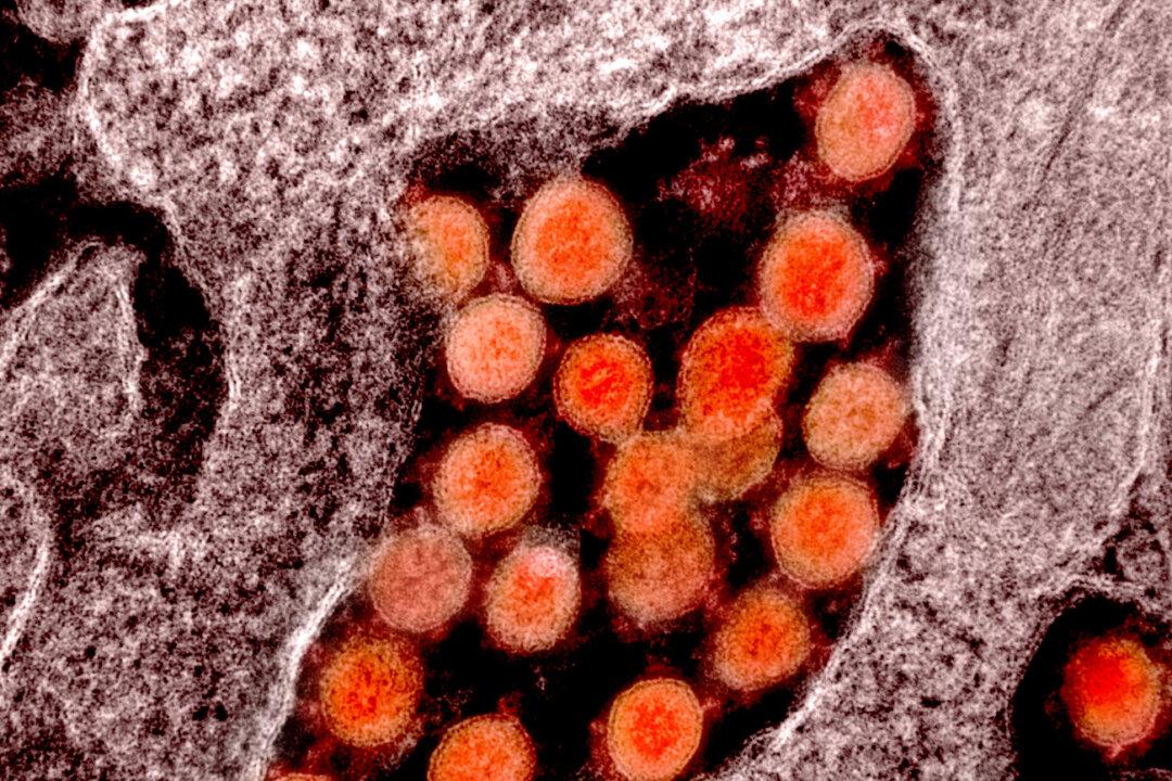 80% of CCP Virus Deaths Happen to People 65 or Older: CDC