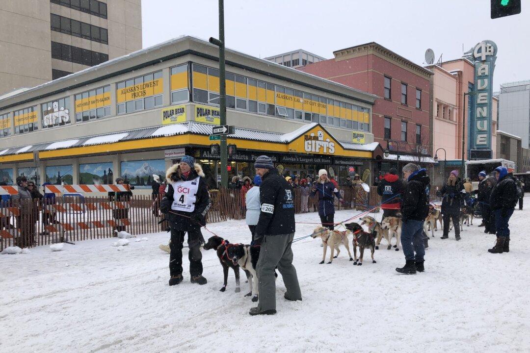 Norwegian Musher Achieves Boyhood Dream, Wins Iditarod Race