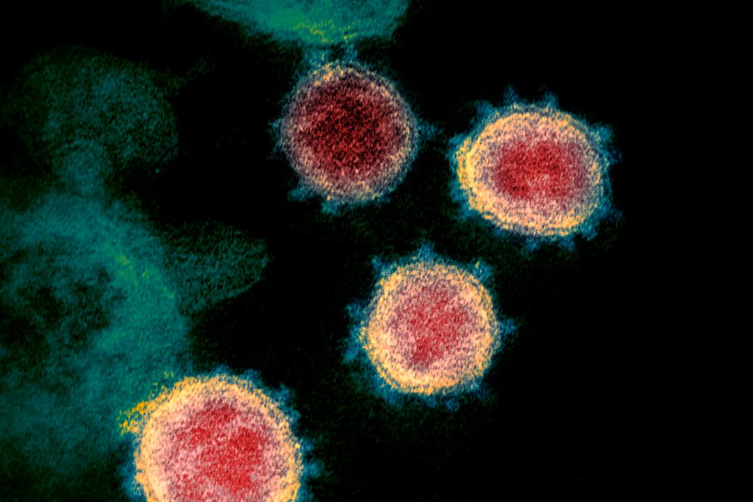 Delta Variant Comprises More Than Half of COVID-19 Cases in US, CDC Says