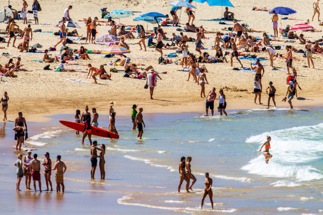 Coronavirus Infects Bondi Backpackers