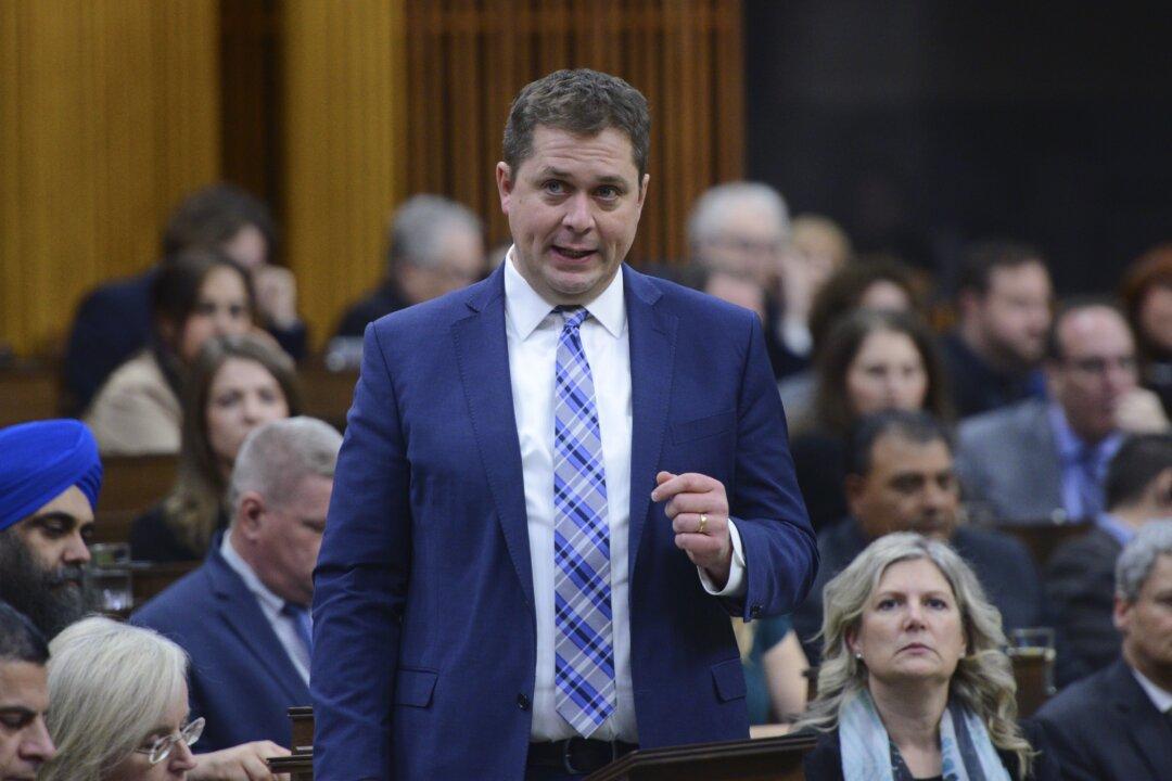 Opposition Must Take Different Approach in COVID-19 Fight, Says Scheer