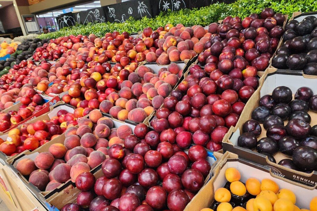 Vietnam Opens Door to Australian Plums After Trade Deal