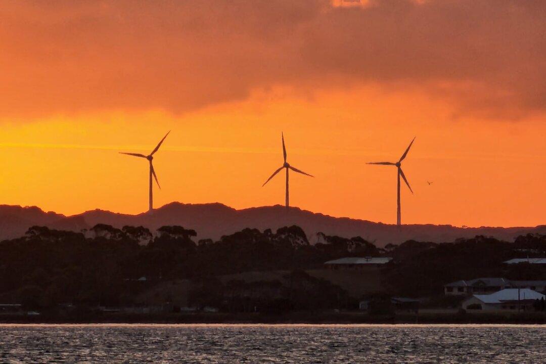 NZ Makes ‘Climate Risk Disclosure’ Mandatory for Big Business