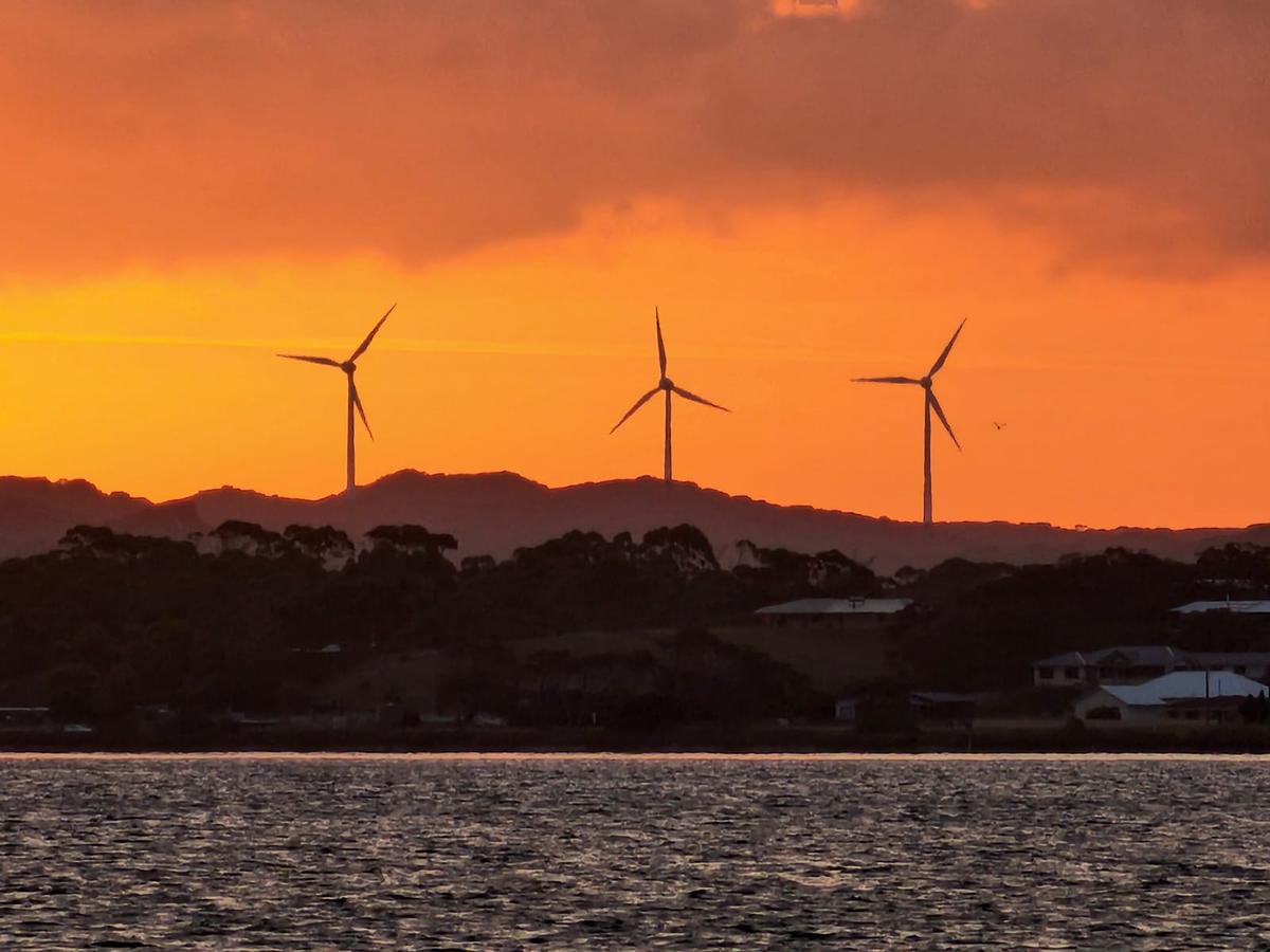 NZ Makes ‘Climate Risk Disclosure’ Mandatory for Big Business