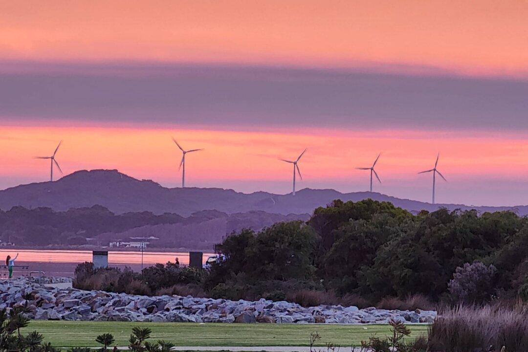 Teal MP Urges Albanese to Call Early Climate Change Election