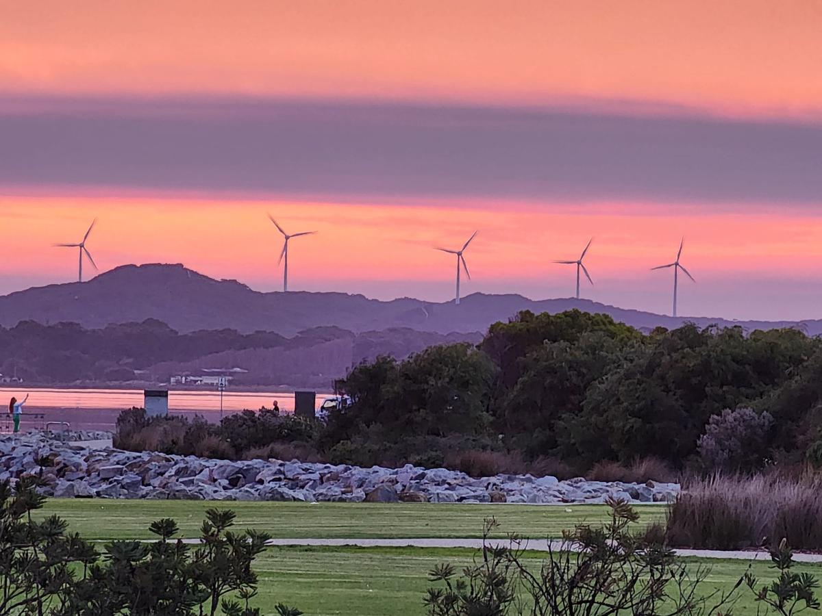 New Climate Reporting Laws Passed: Businesses Face New Disclosure Requirements