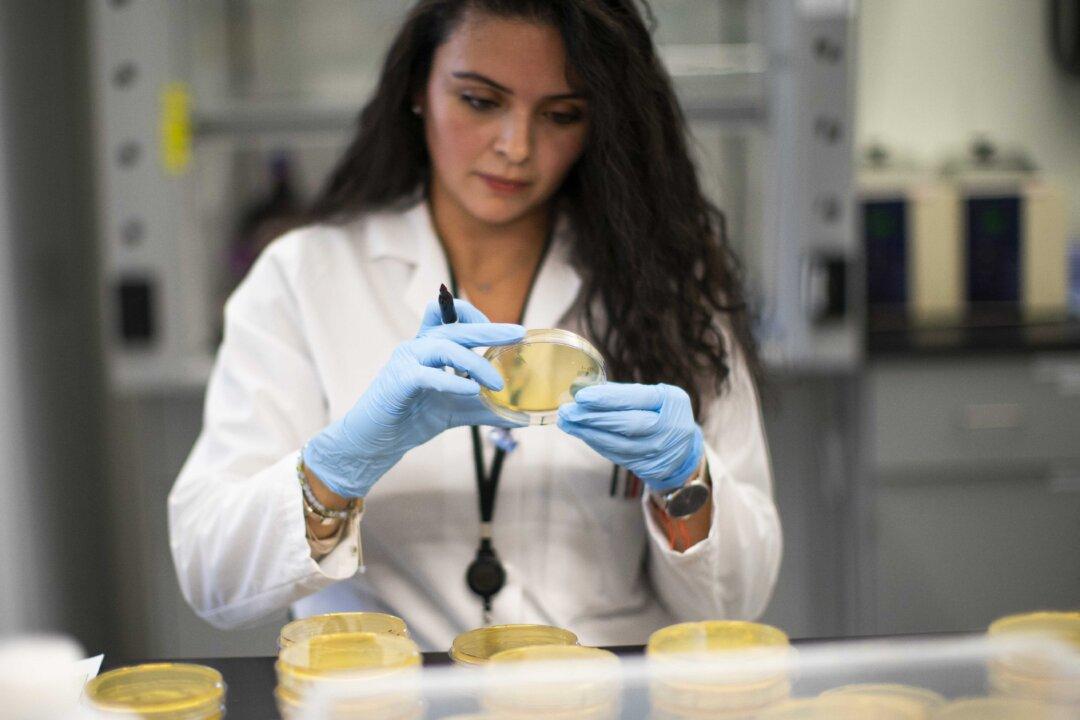 Warm Weather May Stem CCP Virus Spread, but Won’t Stop It: Study