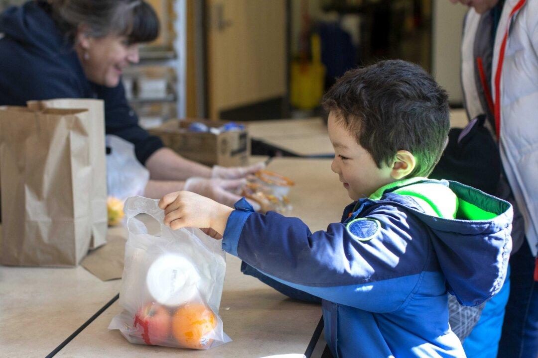 Veterans Running for Office Put Pandemic Plight Before Politics