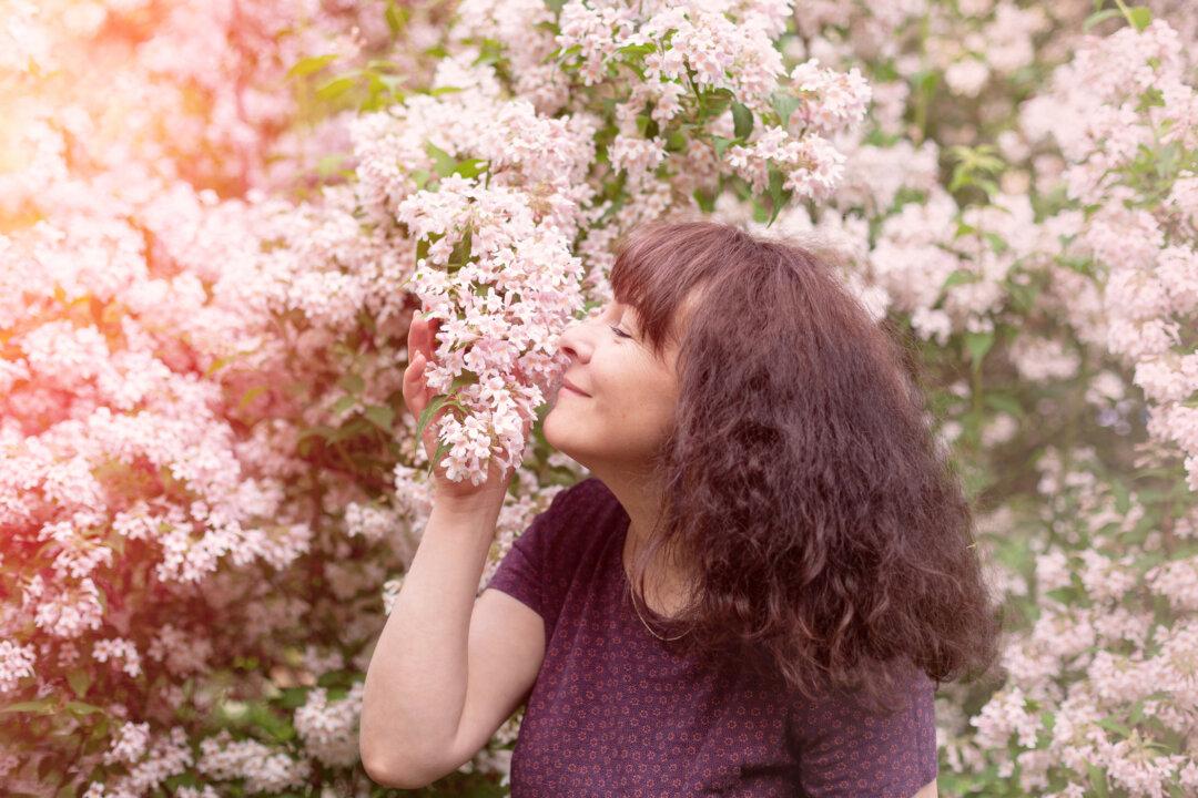 New Scent Therapy May Improve Memory