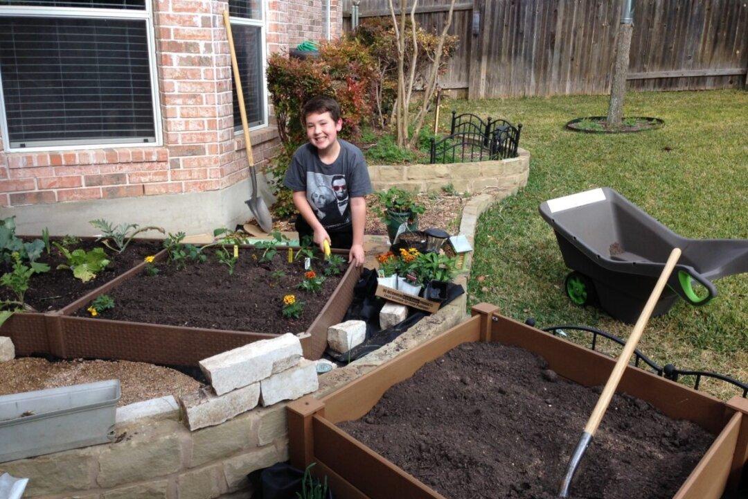 Austin Youth Builds Gardens to Feed the Hungry
