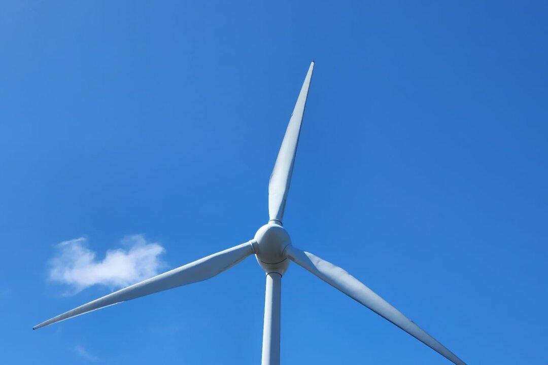 Climate Change Minister Says Nuclear Future for Australia Too Expensive
