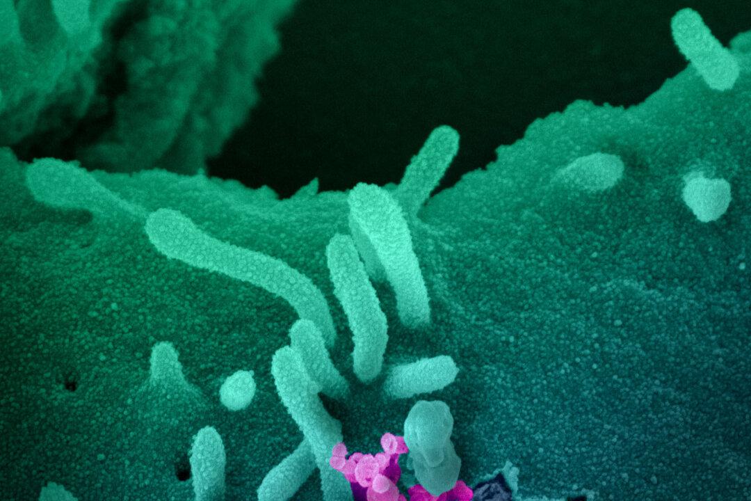 COVID-19 Continues Spreading As Travel Restrictions Come Into Effect