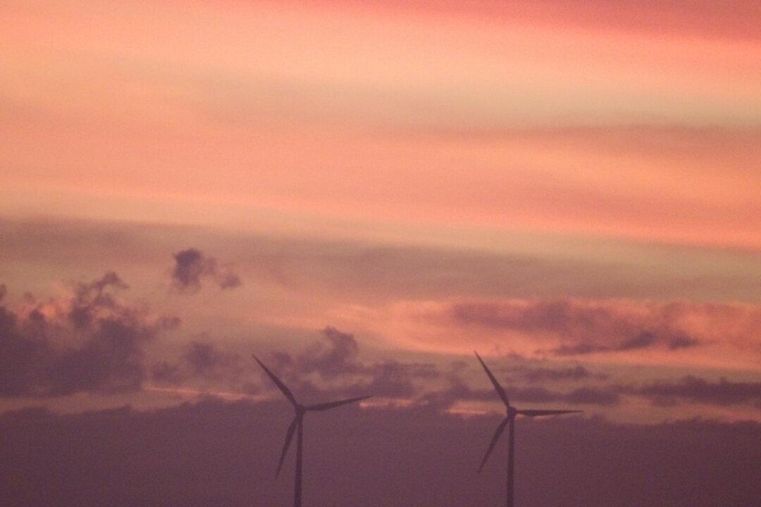 Australian Government Establishes Net Zero Authority