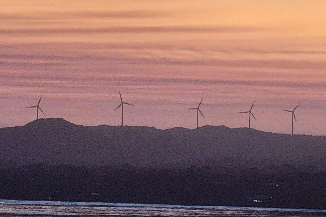 Teal MP’s Push for Mandatory Climate Health Reporting via Australian CDC Rejected