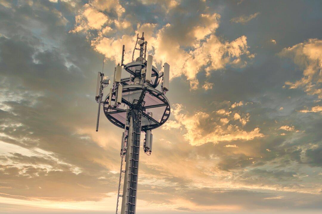 Lawsuits Fight to Change Federal Wireless Safety Standards