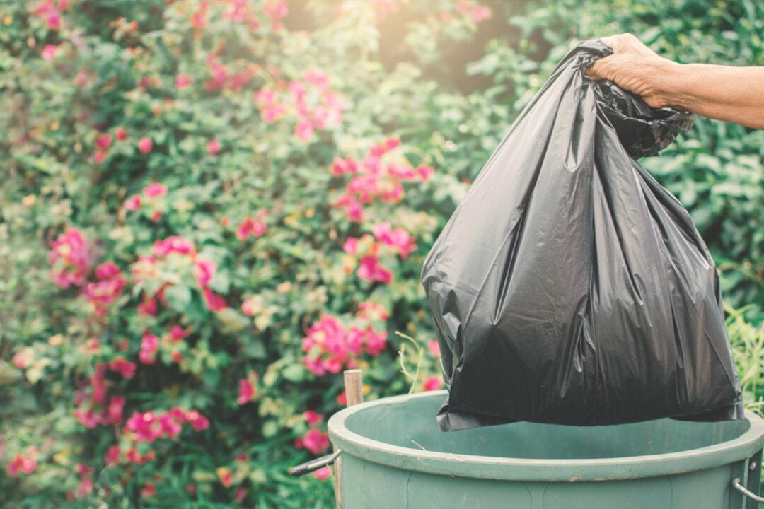 Neglected Mother Dog Dumped in Trash Bin Without Her Puppies Gets Rescued
