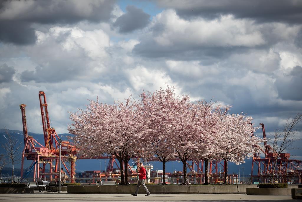 Canadians Courteous With Social Distancing