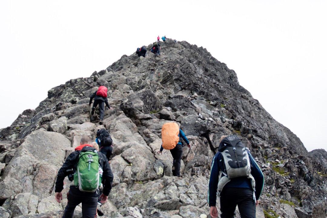 Dreams and the Cost of Dreams: Making Grown-Ups