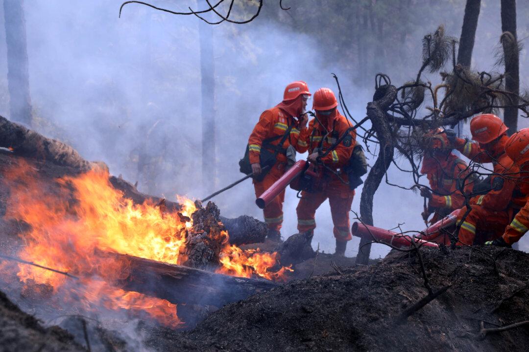 Forest Fire Kills 19 in China’s Sichuan Province