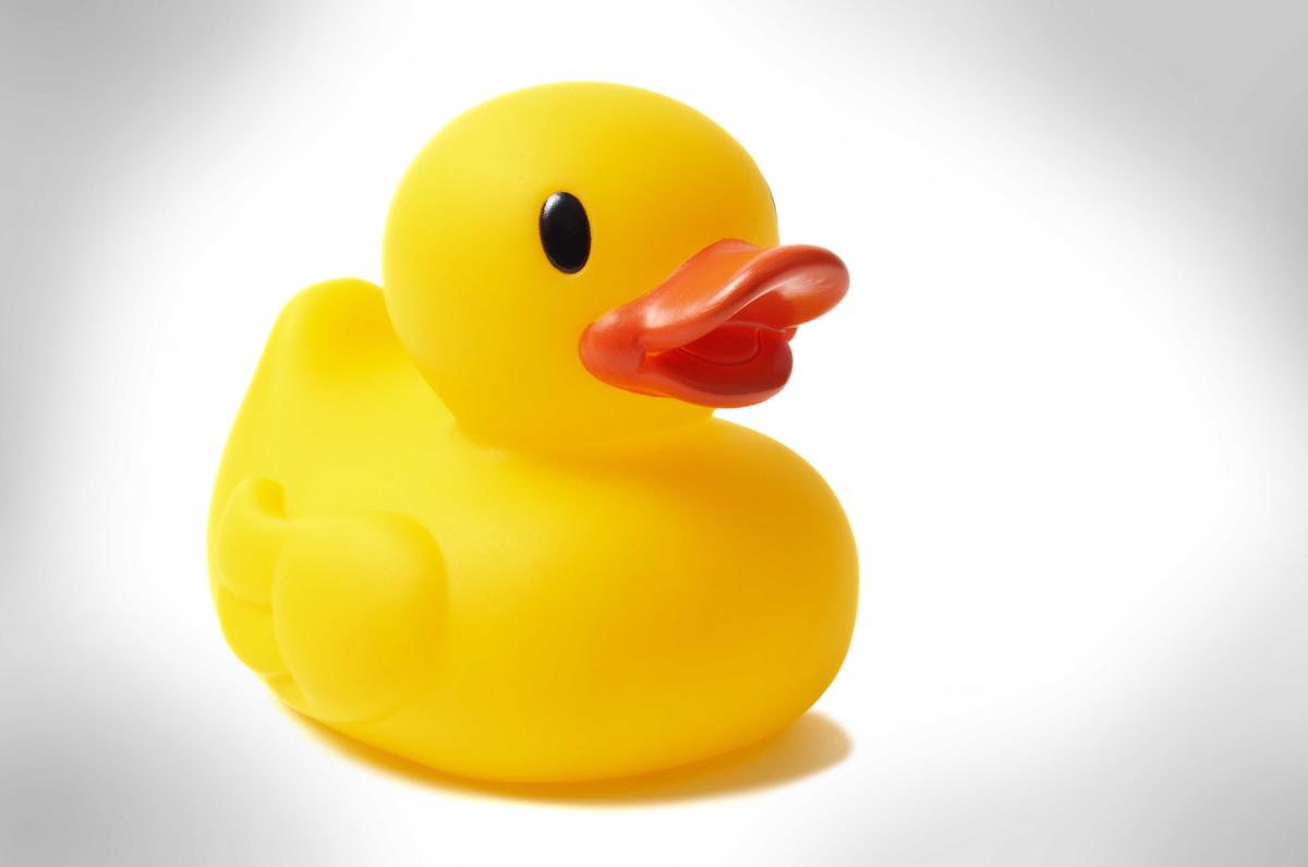 Illustration - Shutterstock | <a href="https://www.shutterstock.com/image-photo/yellow-rubber-duck-isolated-on-white-607006361">ajt</a>