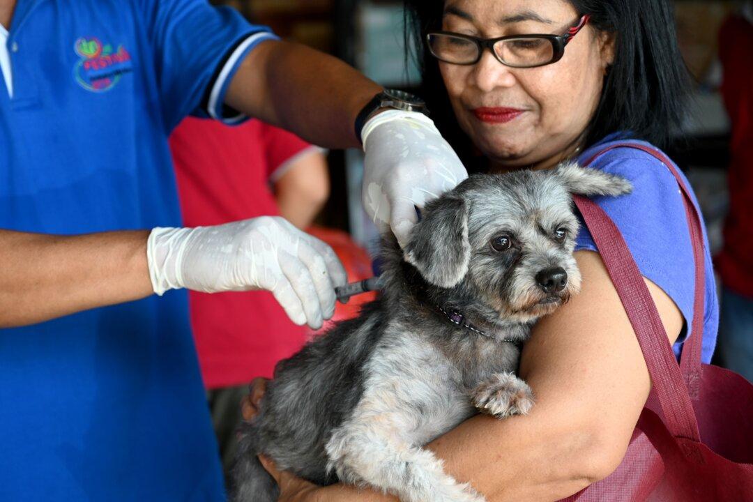 USDA Begins Airdropping Rabies Vaccines in 13 States