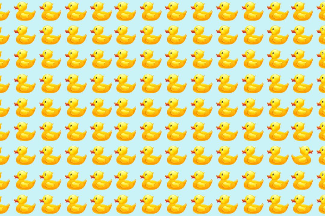 Can You Find the ‘Odd Duck’ in Less Than 20 Seconds? If So, It Could Mean You Have a High IQ