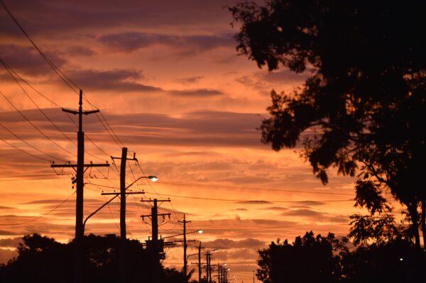 The Deputy PM said rising power prices were not something that could be immediately resolved. Electricity poles in Ayr Queensland, on March 27, 2017. ( PETER PARKS/Getty Images)
