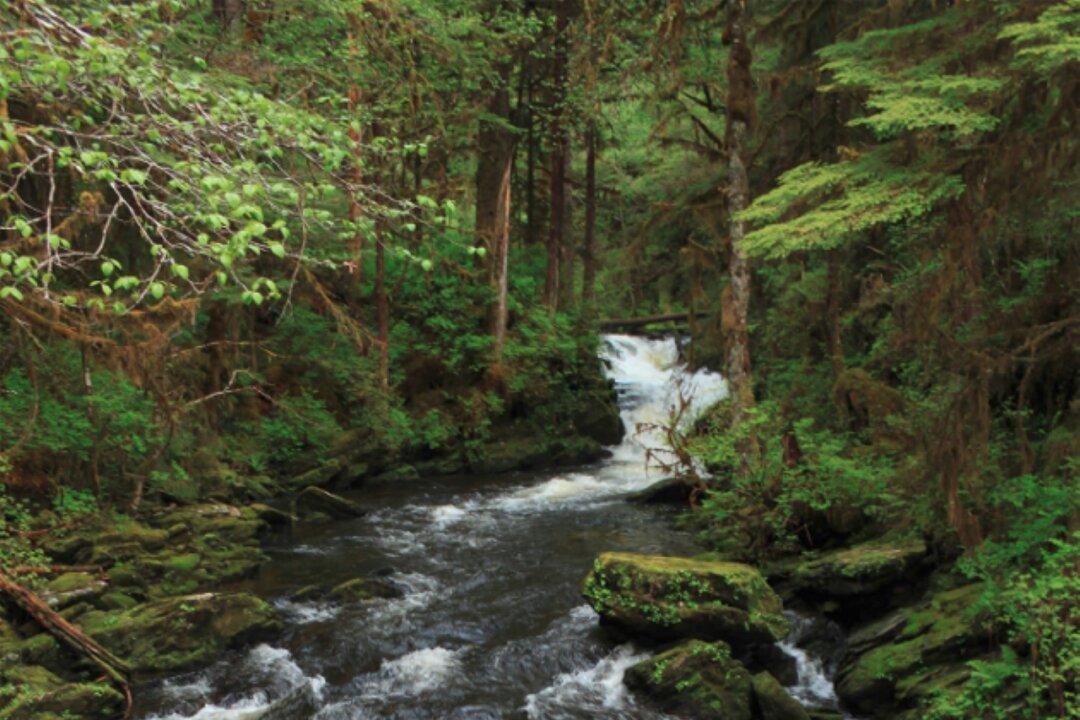 Boy, 5, Found Dead on Alaska Hiking Trail