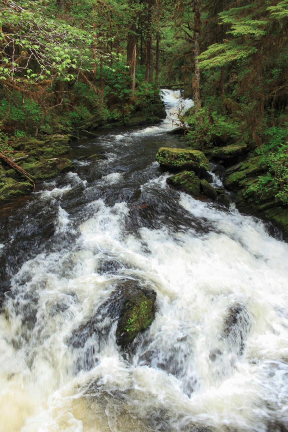 Boy, 5, Found Dead on Alaska Hiking Trail