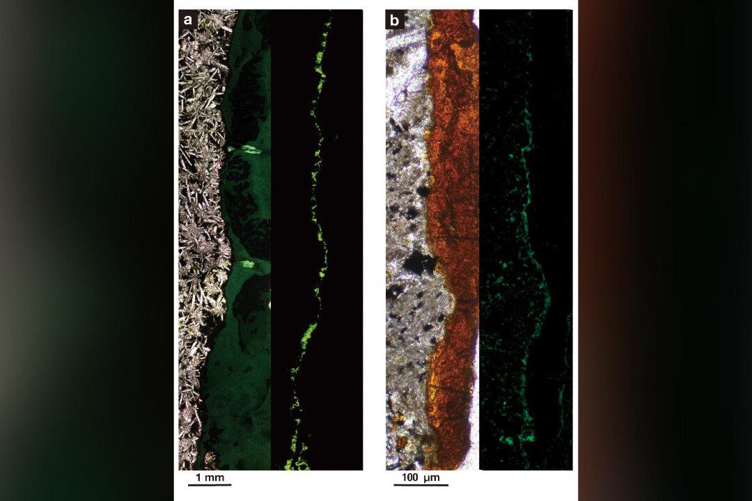 Life Found in Rocks Beneath the Ocean Floor Give Scientists Hope of Finding Life on Mars
