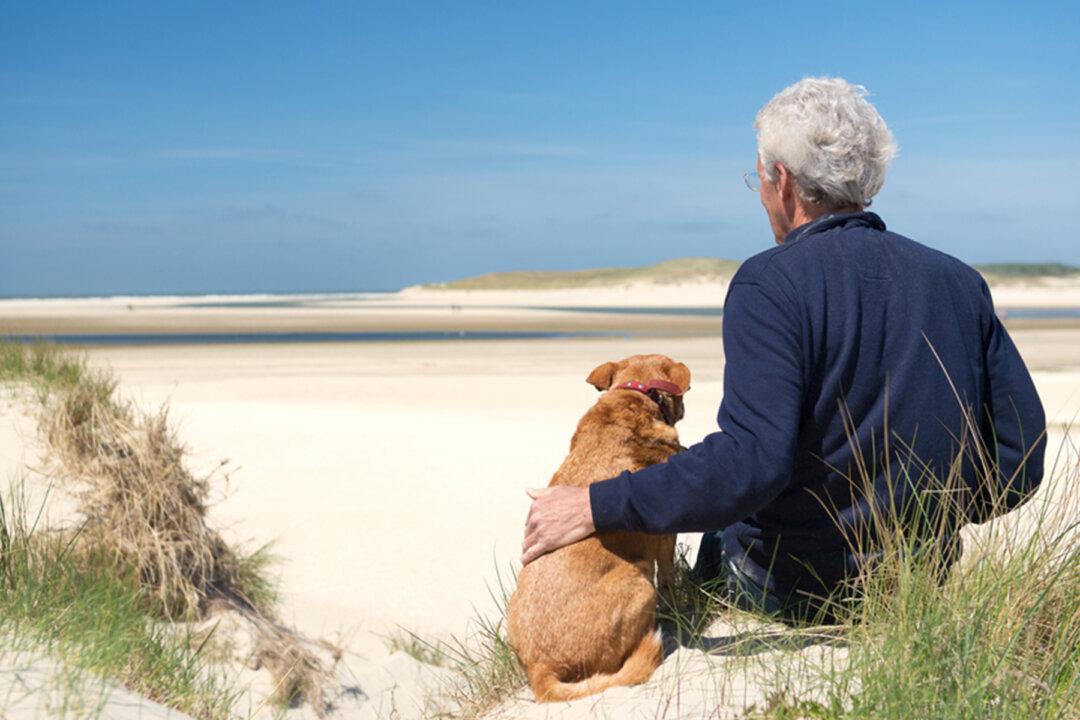Dying Veteran in Hospice Requests to Reunite With His Dog One Last Time, and the Photos Go Viral